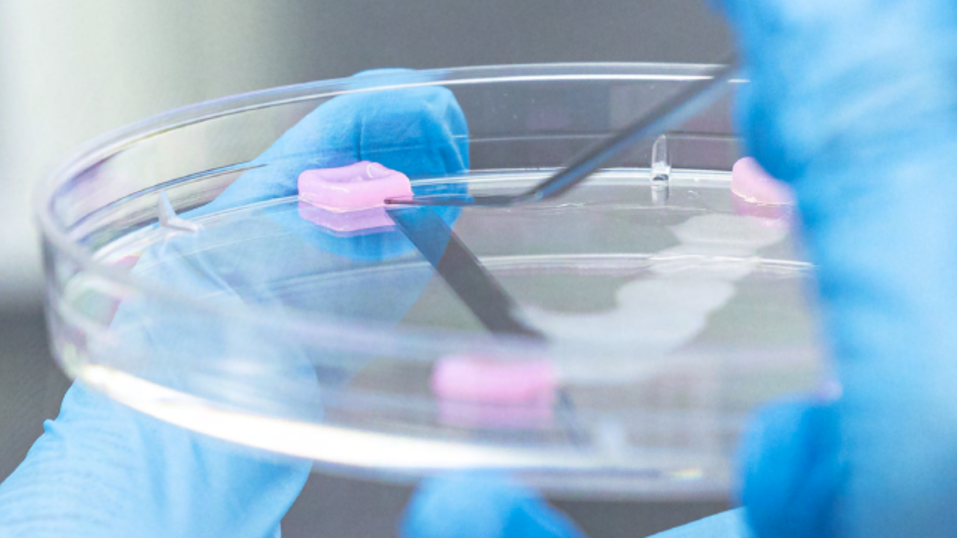 La última innnovación de Gattefossé y CTIBiotech 