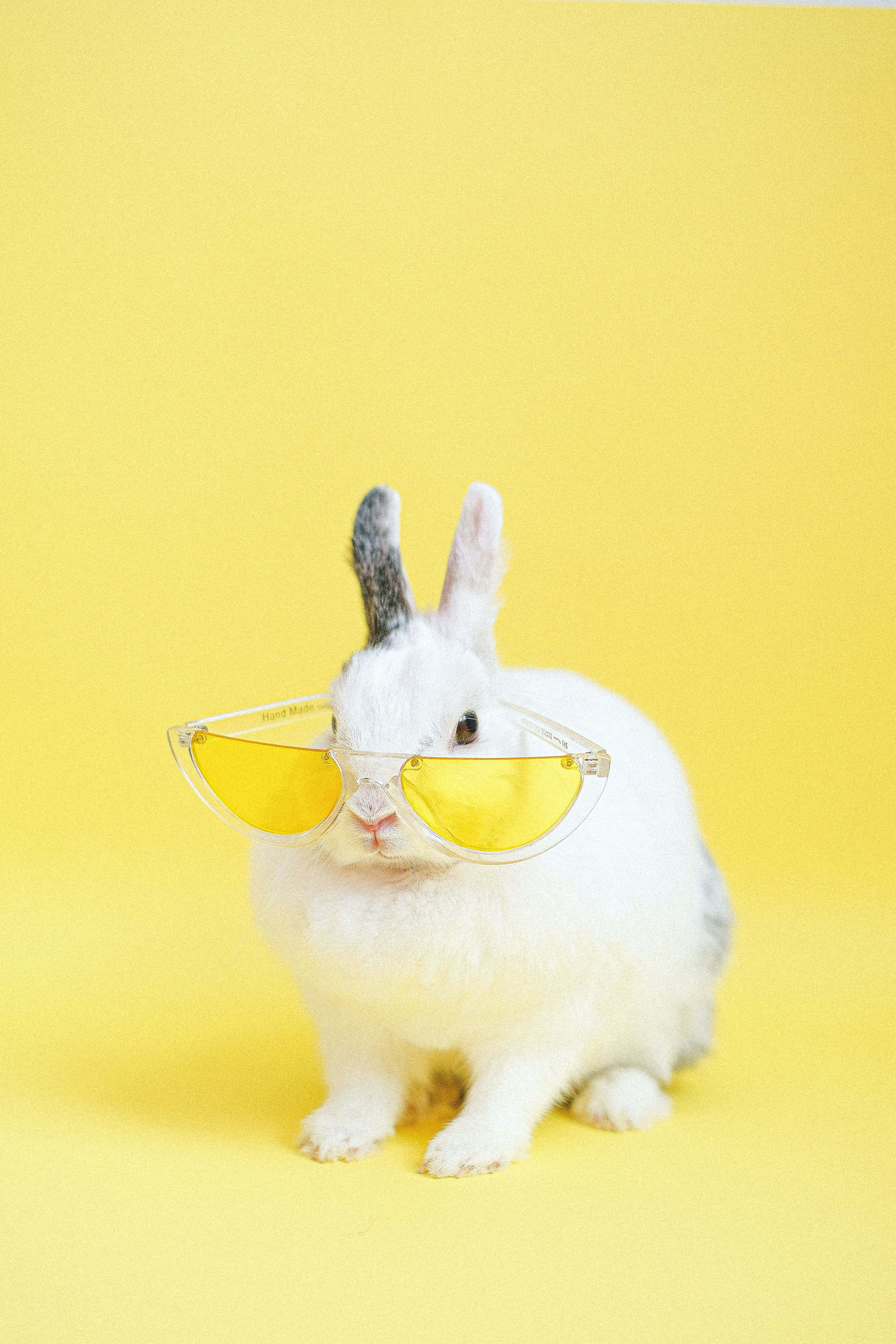 Cruelty free