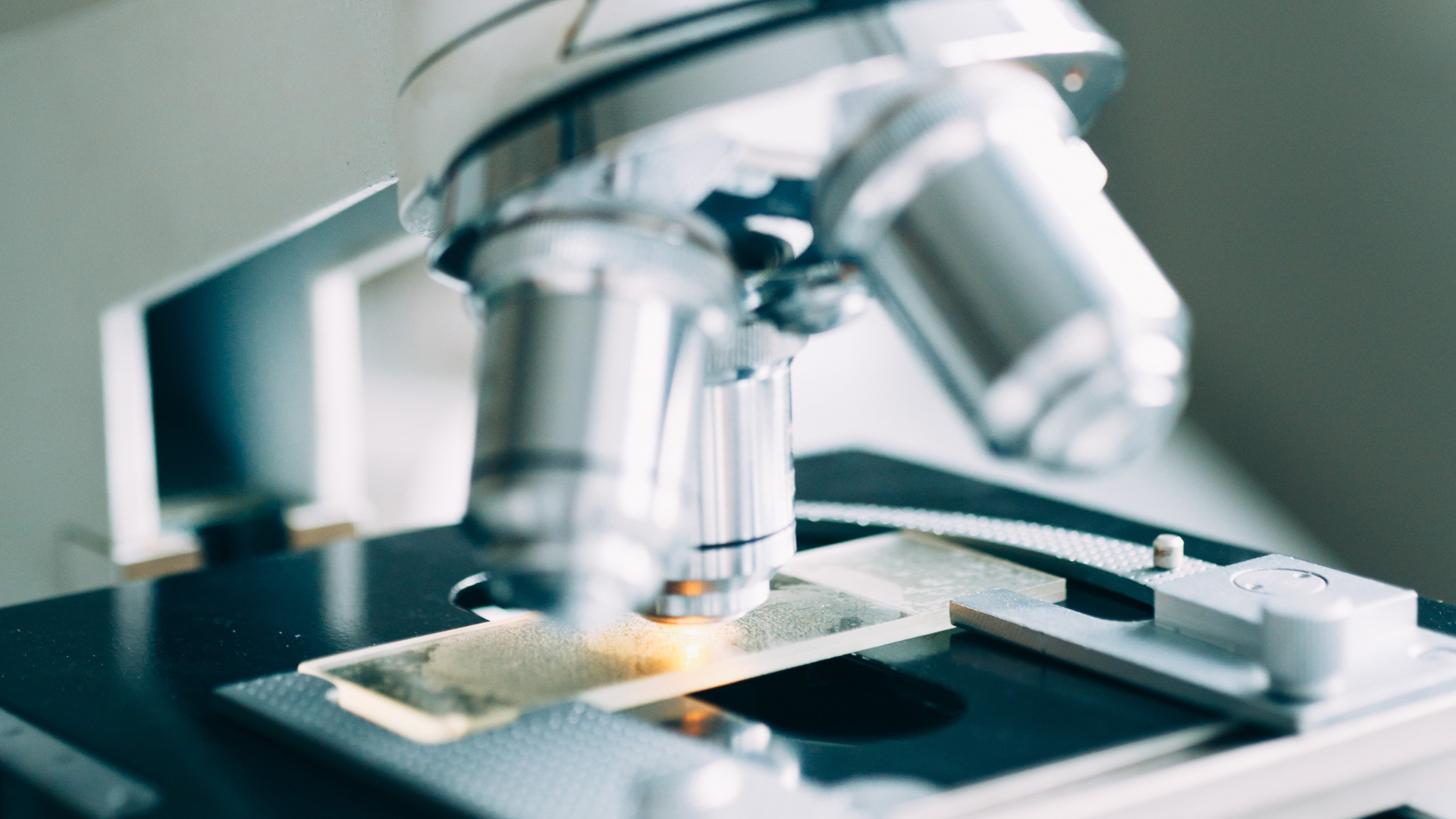 The membrane of eggshell inside the cosmetics sector 