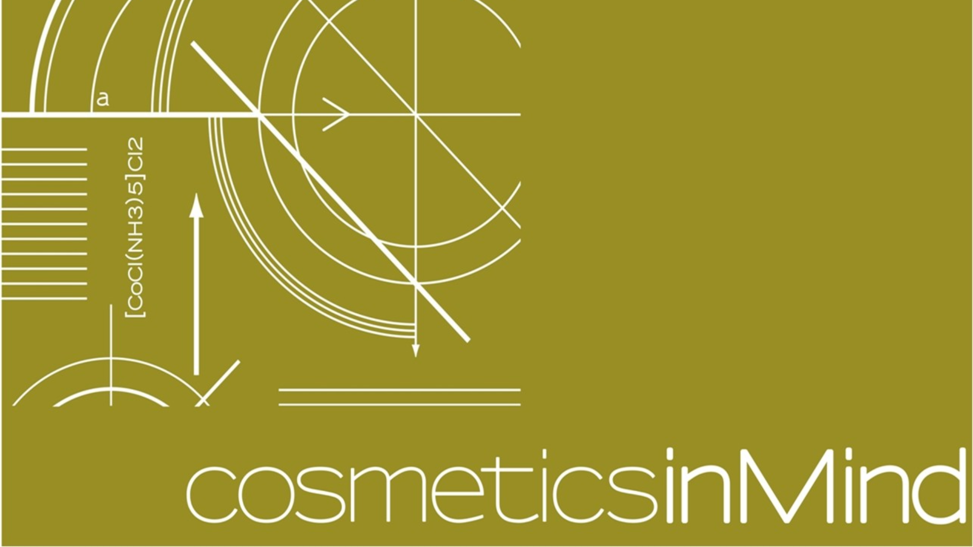 cosmeticsinMind is celebrating his fundation 