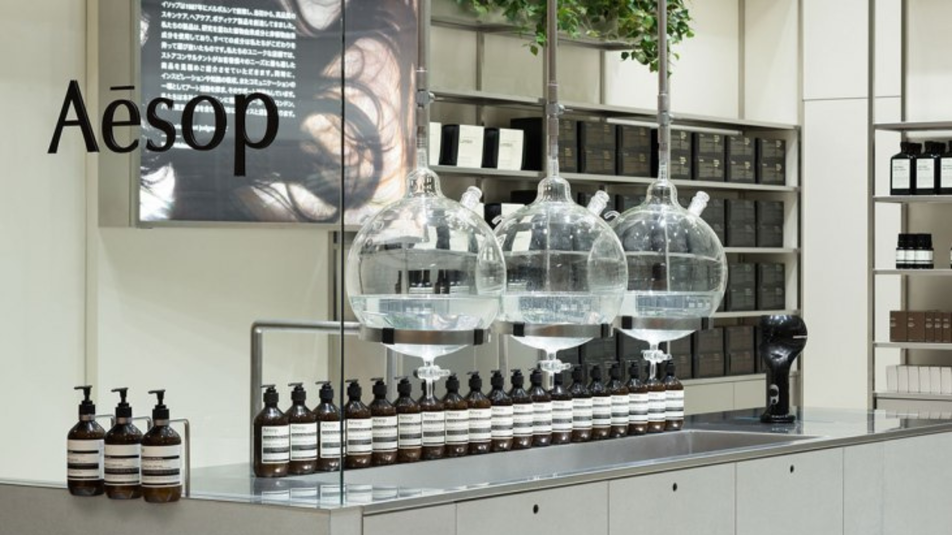Tienda de Aesop. Fuente: Metalocus 