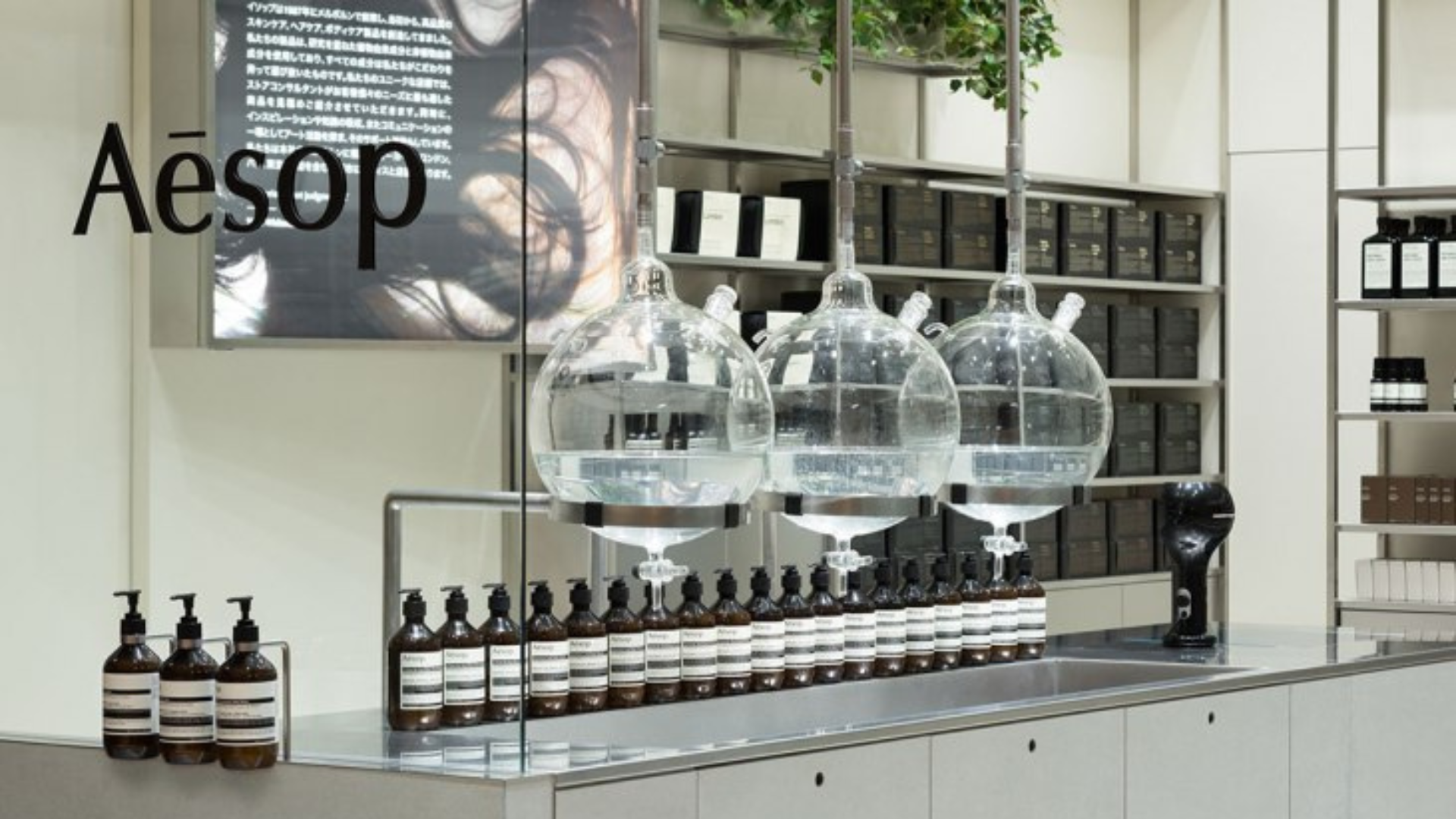 LVMH, L'Oréal Mull Stake In Cosmetics Brand Aesop: Report