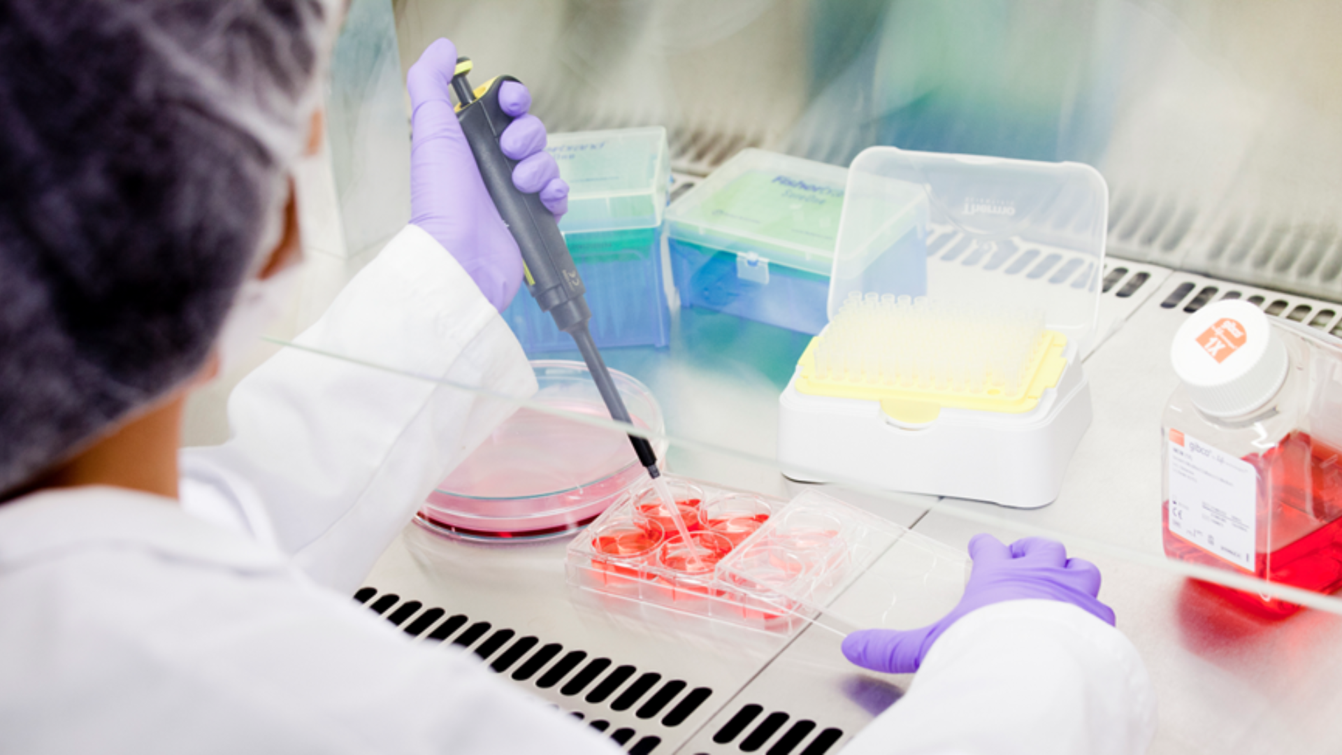 mesoestetic® girls and science 