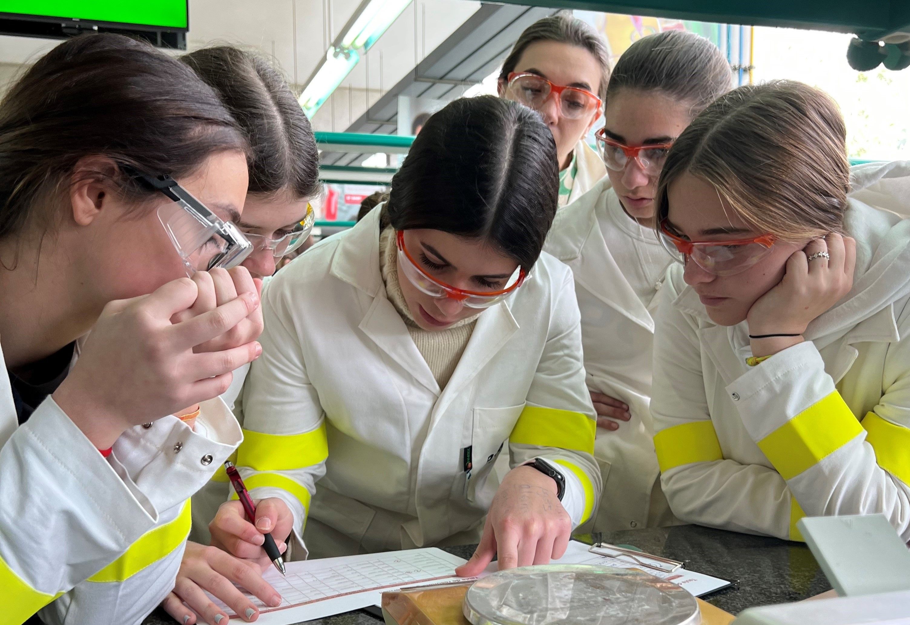 Teens Lab by BASF in Tarragona 