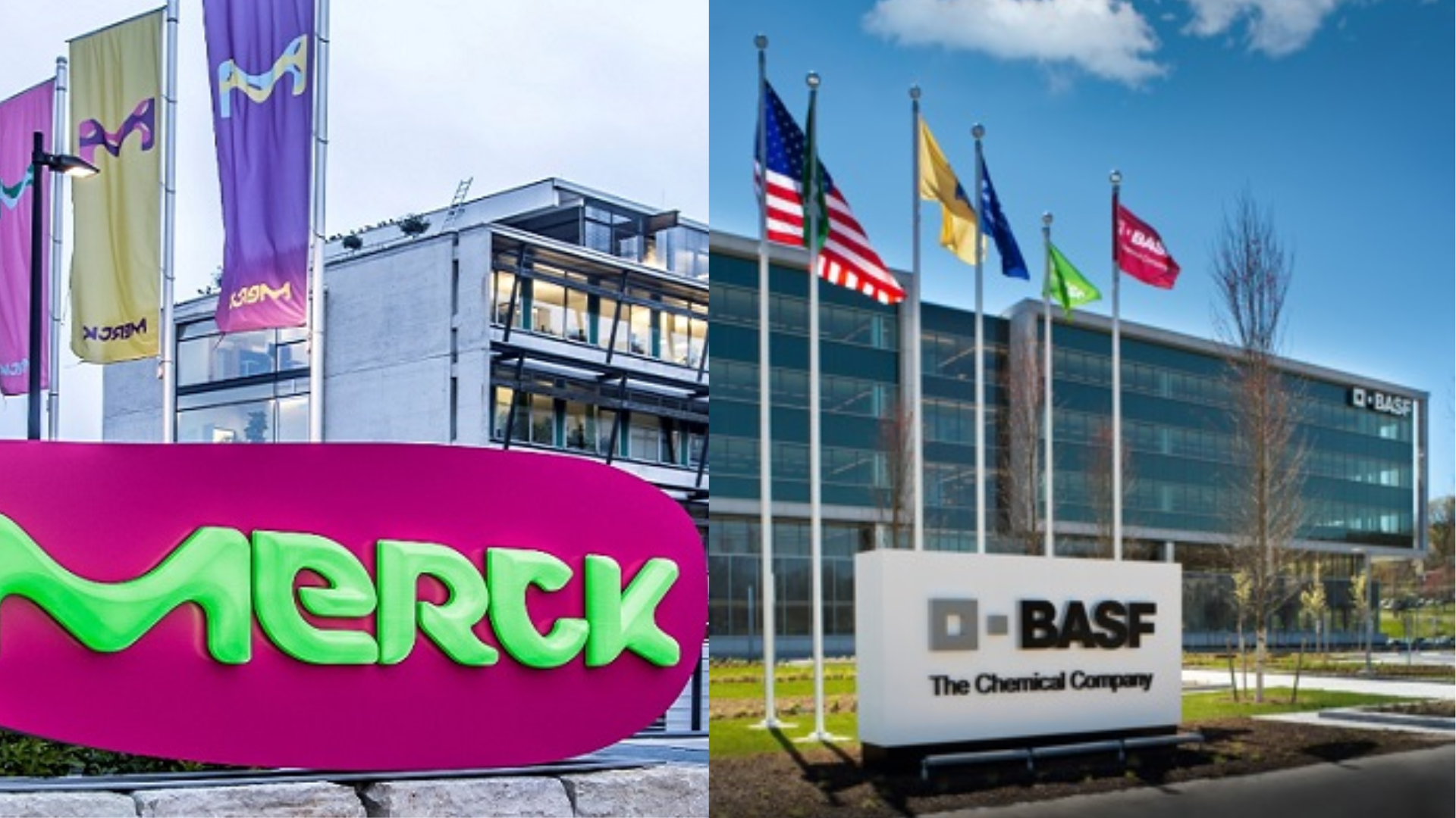 Merck and BASF support the adversity of the market 