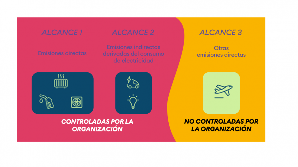 Artículo Provital (3) Artículo Provital (3)