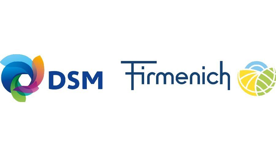 dsm firmenich