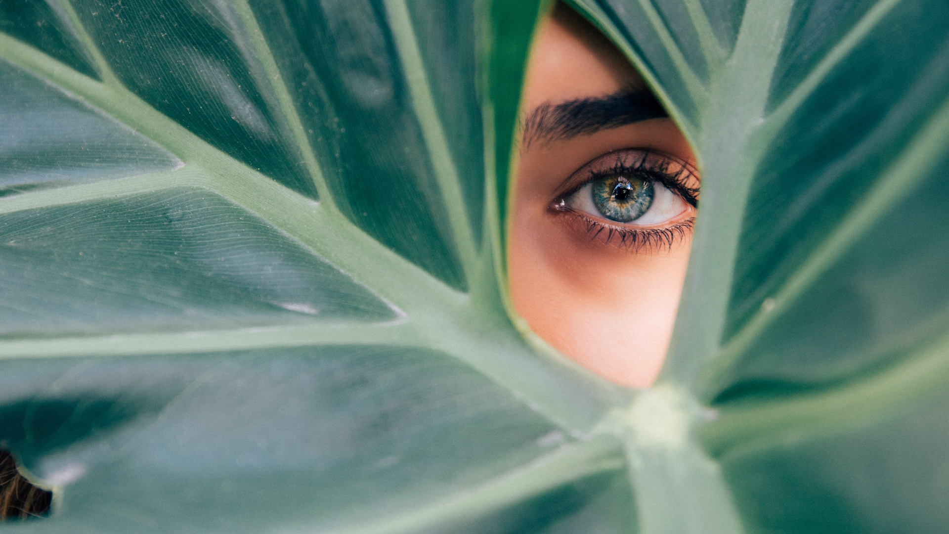 The vegan cosmetics market is expected to grow at a rate of 5% per year until 2027. Source: Drew Dizzy Graham (Unsplash)
