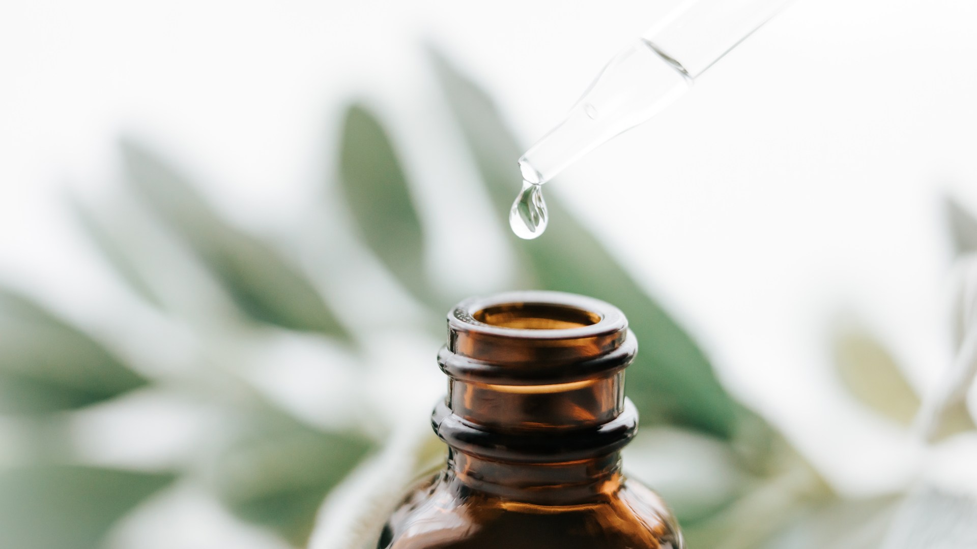 The European Commission reverses its decision to add essential oils to the list of toxic substances