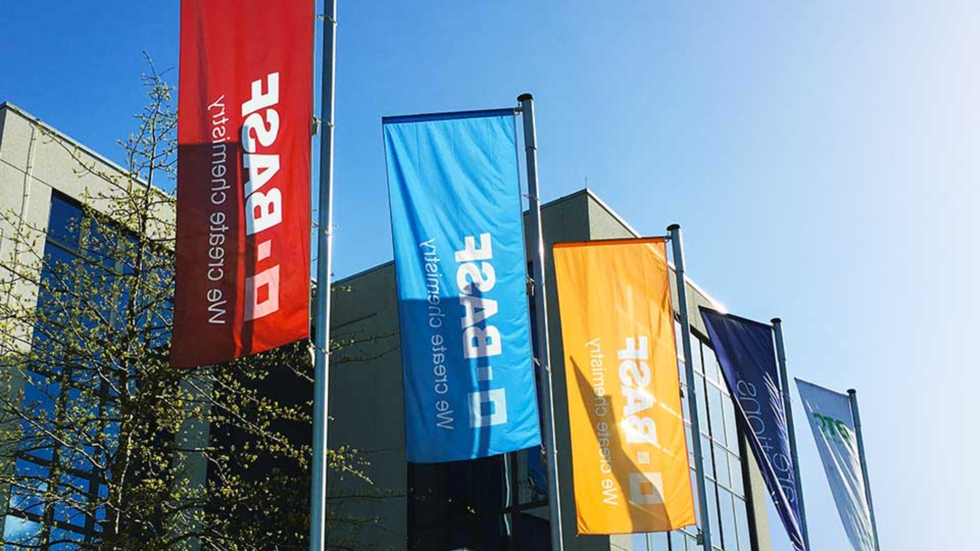 BASF Wins 2.084 million euros until September and exits of losses