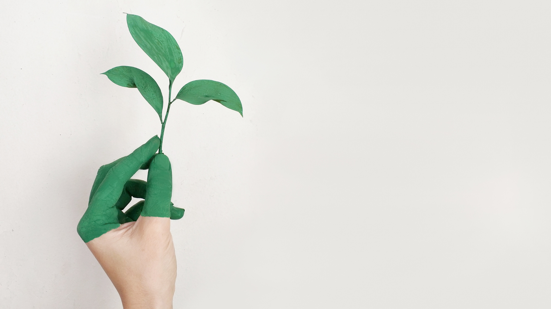 BASF new online event 