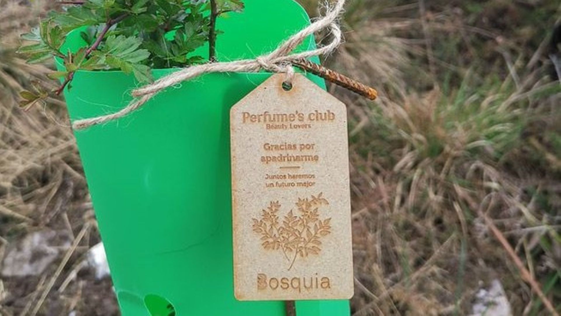 Iniciativa de sostenibilidad de Perfume's Club Iniciativa de sostenibilidad de Perfume's Club