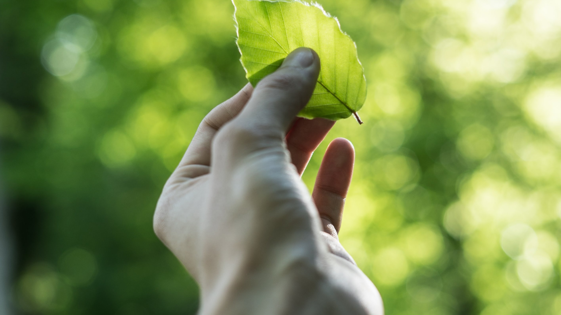 Sustainability and beauty industry