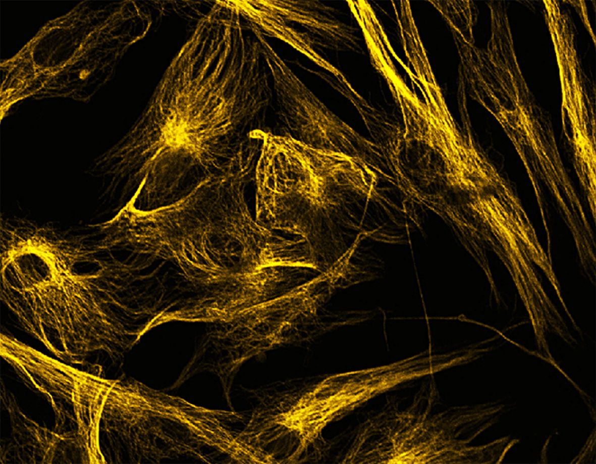 Pure retinal