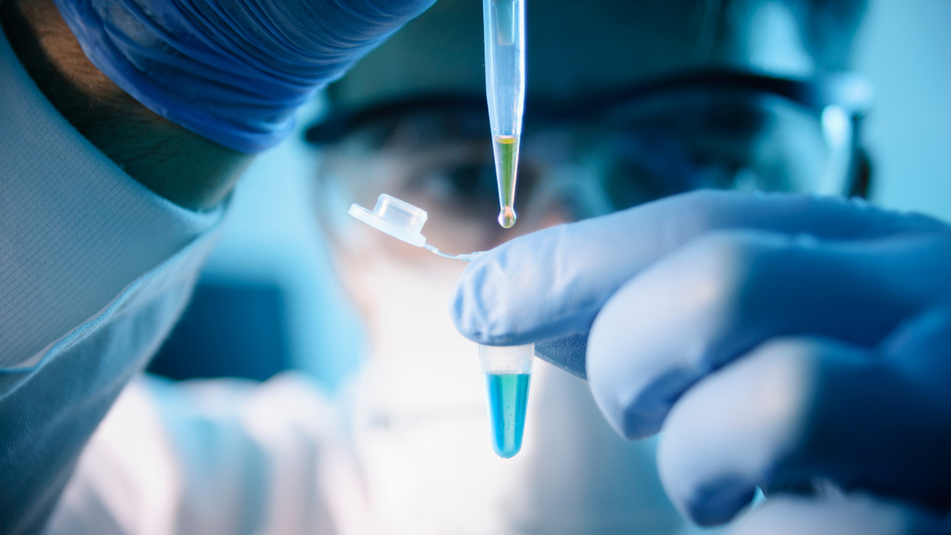 Amorepacific research about the propierties of ginseng 