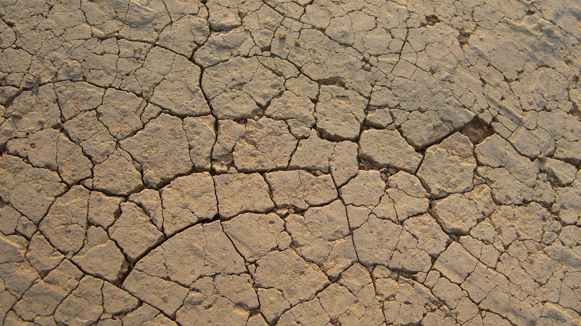 Water scarcity