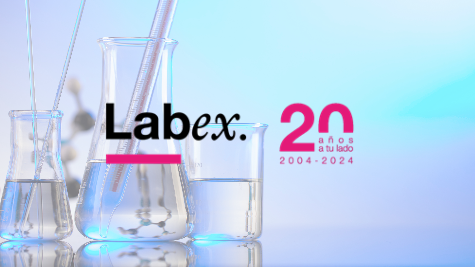 Labex 20th aniversary 