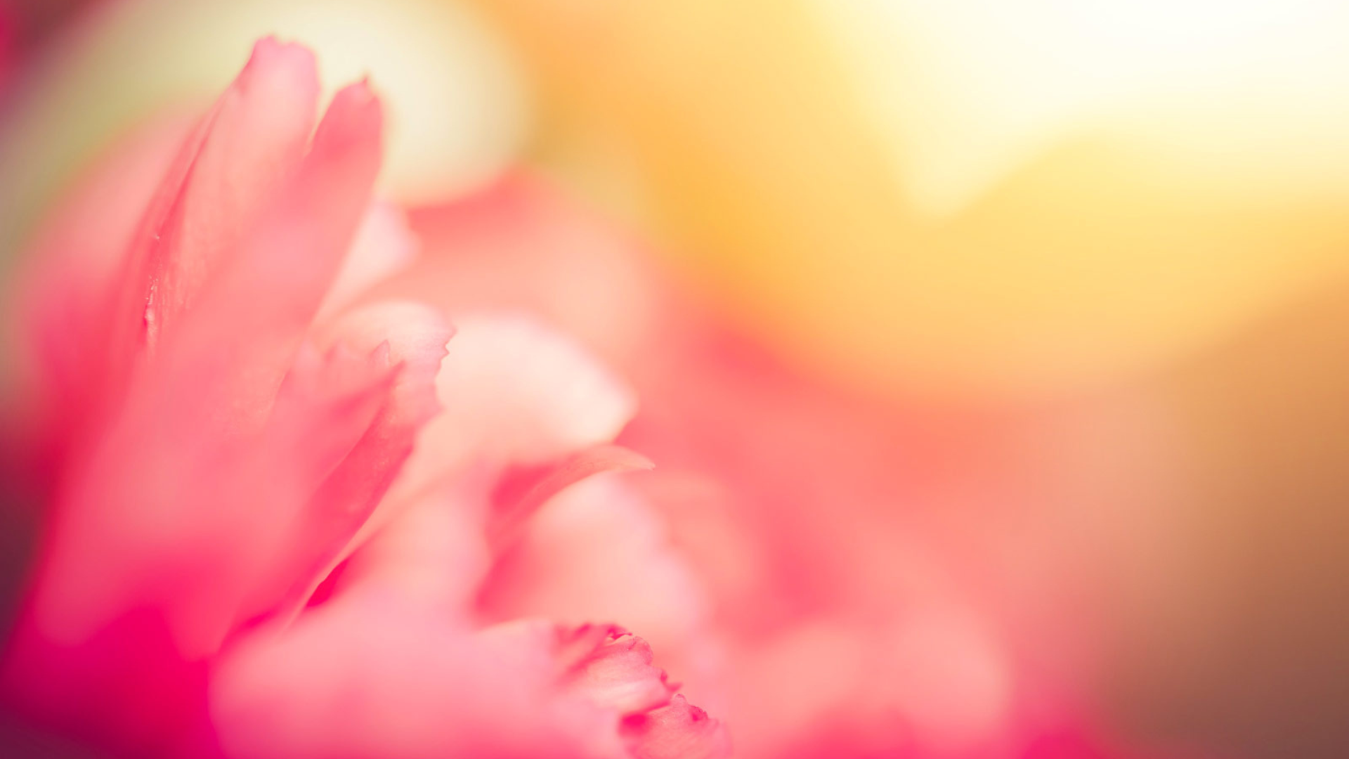 Flowerconcentrole® by Symrise 