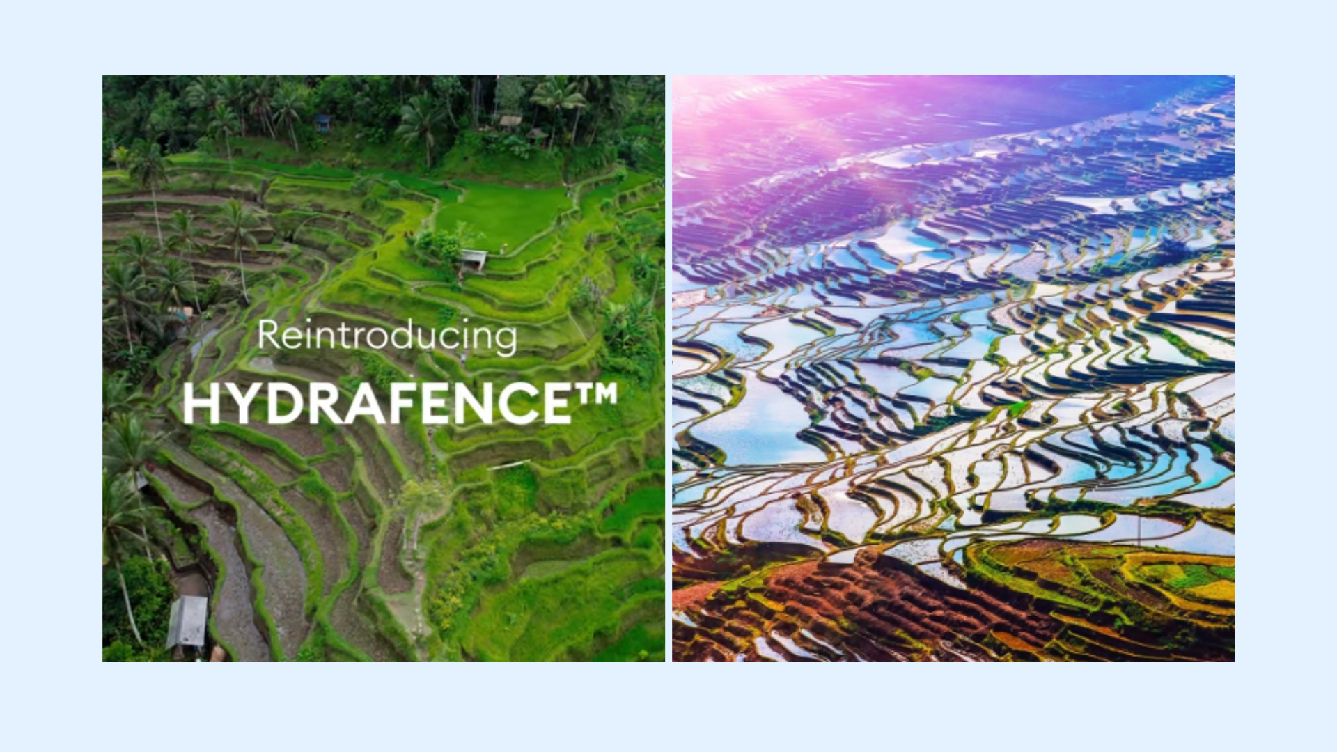 Provital Hydrafence™