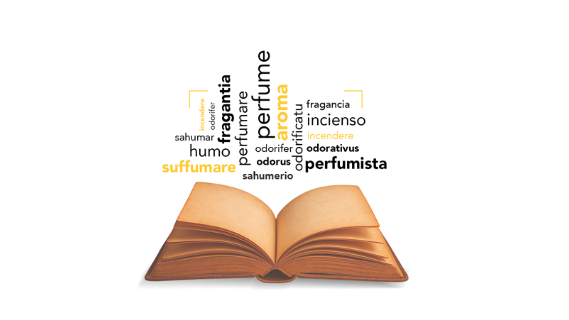 Academia del Perfume 