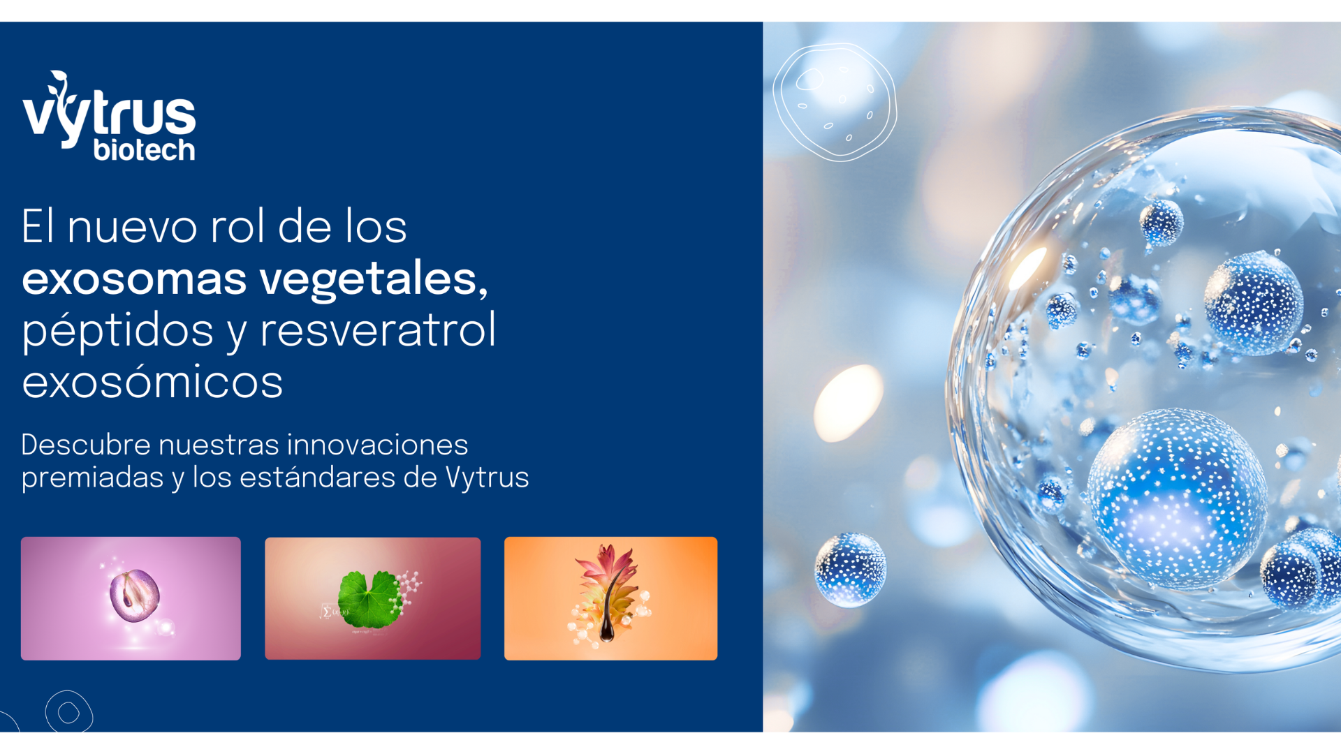 NIB Artículosentradas a retocar   2025 10 31T125950.343