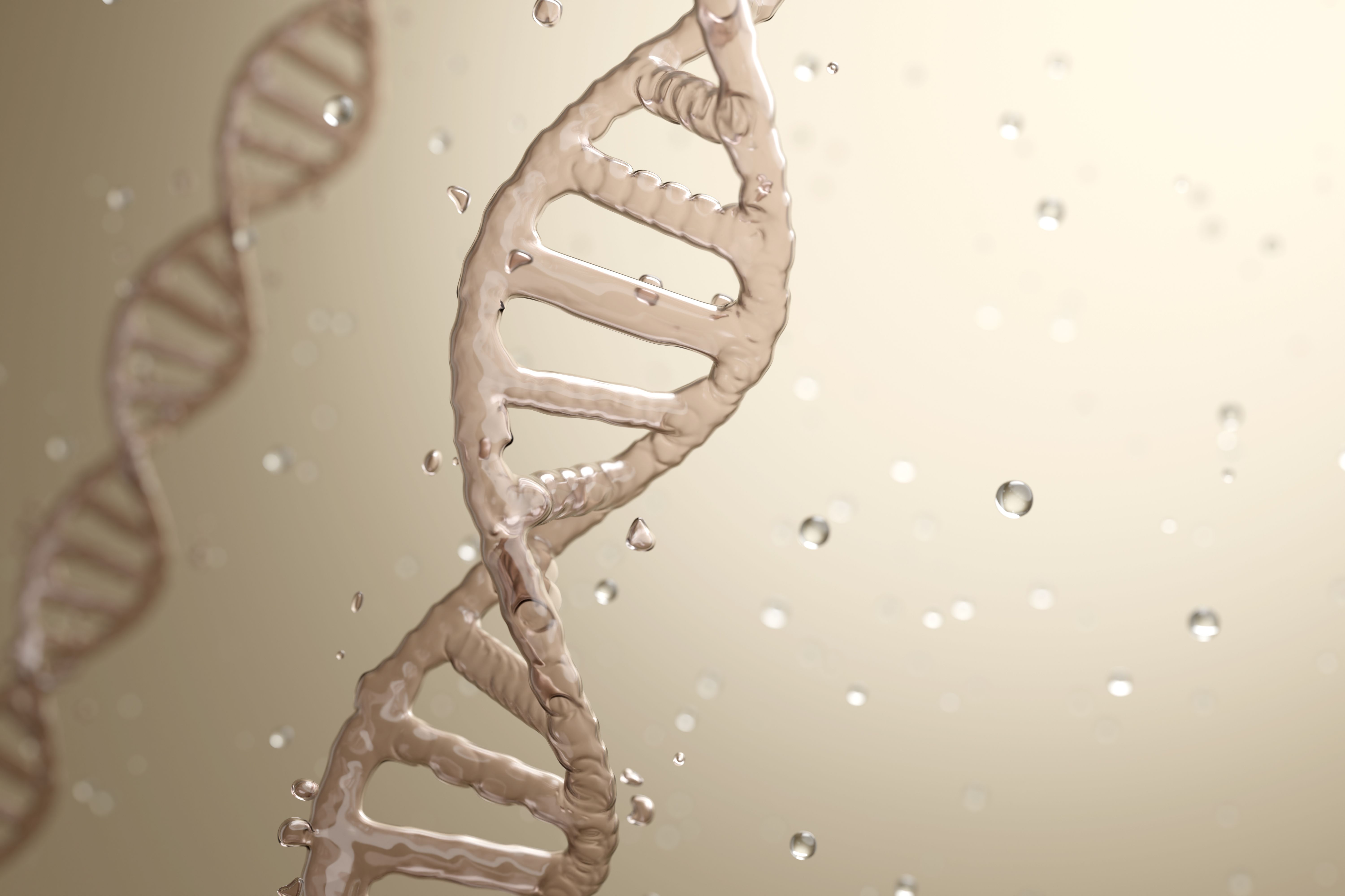 AdobeStock 1834236670 AdobeStock 1834236670