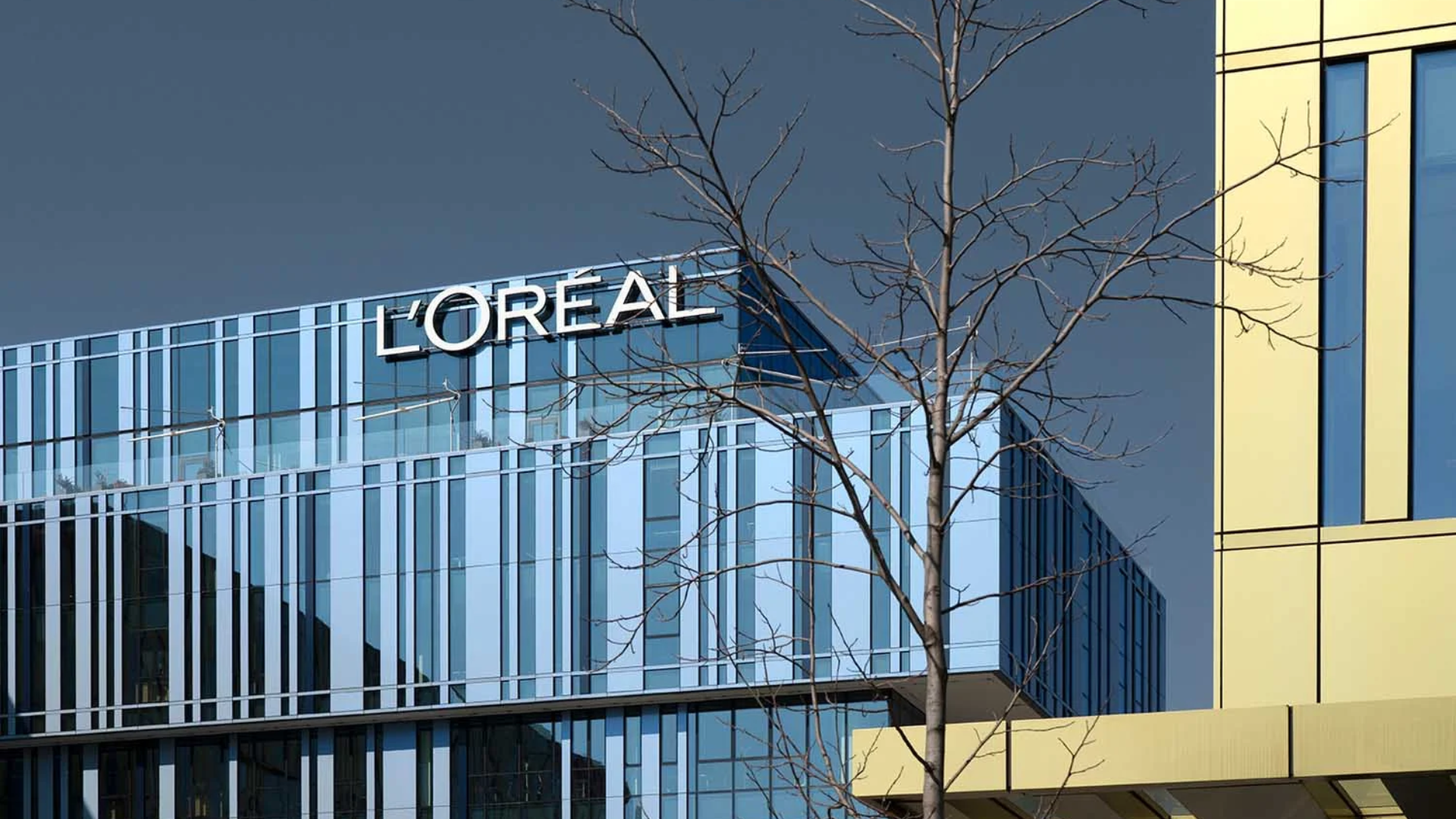 L'Oréal L'Oréal
