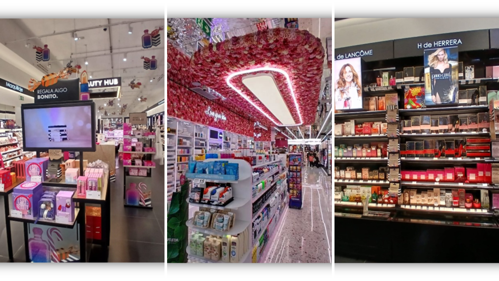 NIB Artículosentradas a retocar   2026 03 05T110417.365