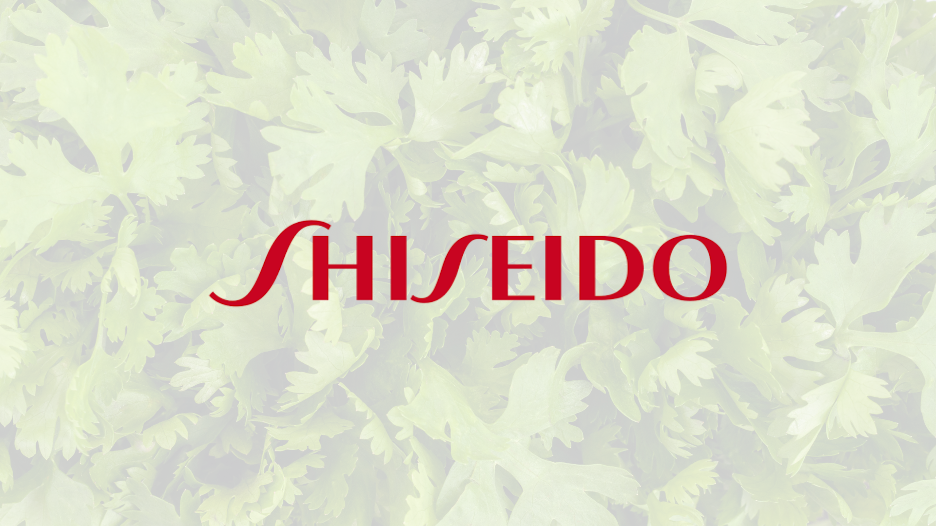 Shiseido Shiseido