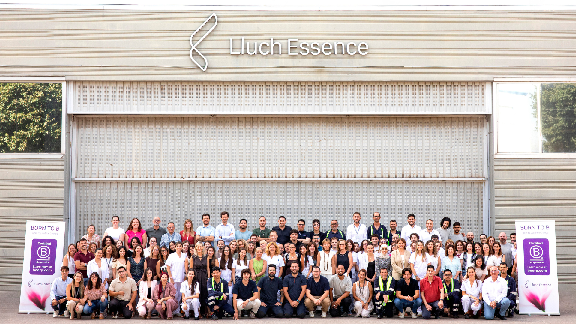 Lluch Essence