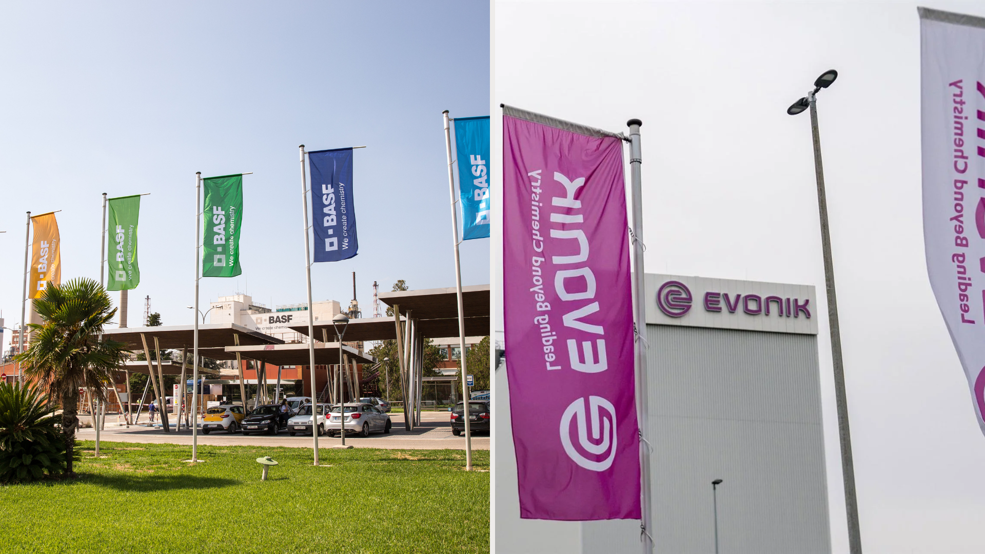 BASF & Evonik BASF & Evonik