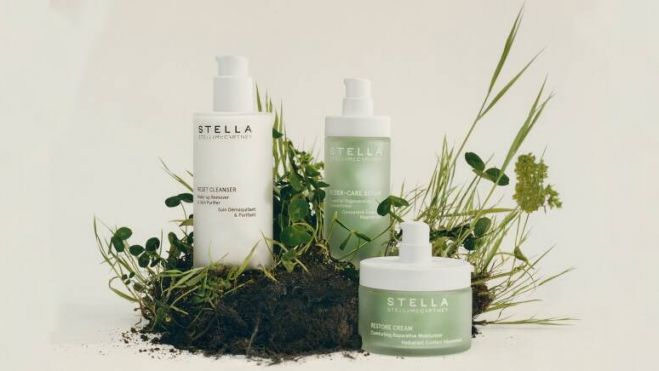 site neswcover stella 792x436 site neswcover stella 792x436